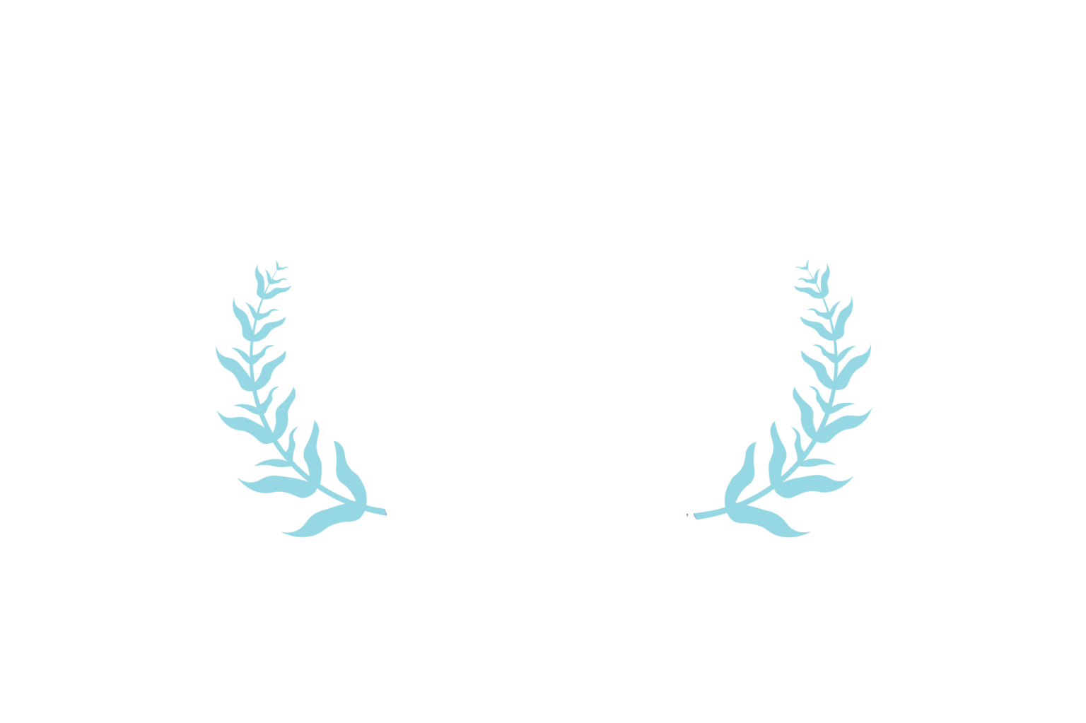 Our Locations – Lucky Paws Pet Grooming